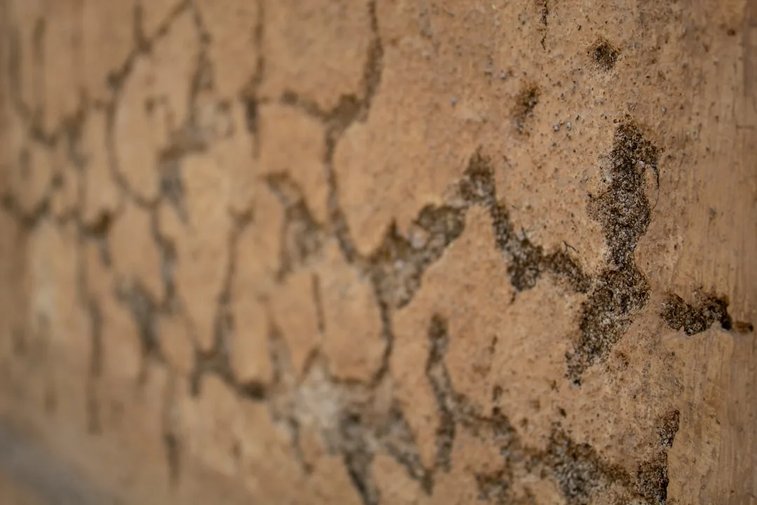 Pourquoi les fissures apparaissent sur votre façade EPS et comment les prévenir sans tout refaire