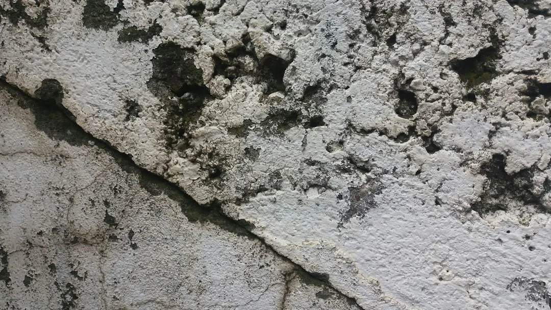 Why Your EPS Moldings Swell After Installation and the 48-Hour Fix Contractors Won’t Tell You